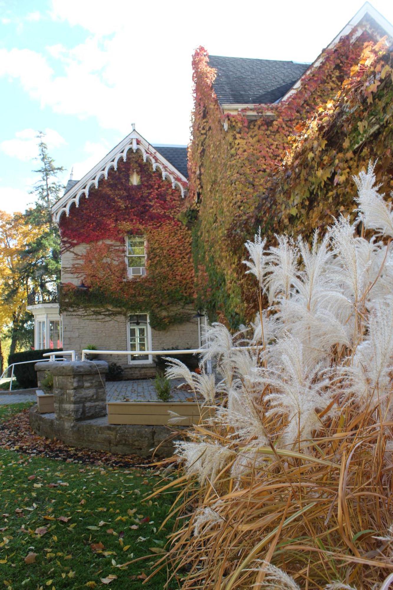 Westover Inn Saint Marys Kültér fotó